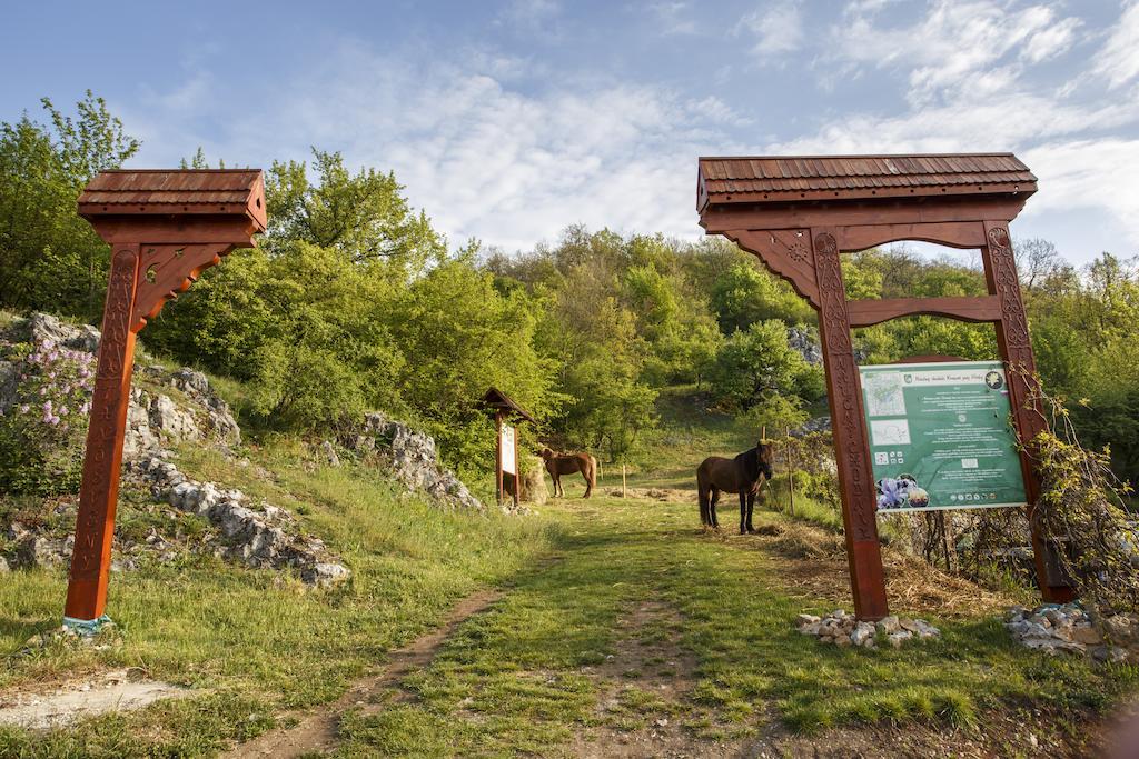 Penzión Skalná ruža - Kövirózsa panzió Gömörhorka Kültér fotó