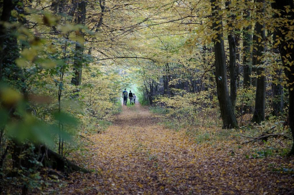 Penzión Skalná ruža - Kövirózsa panzió Gömörhorka Kültér fotó